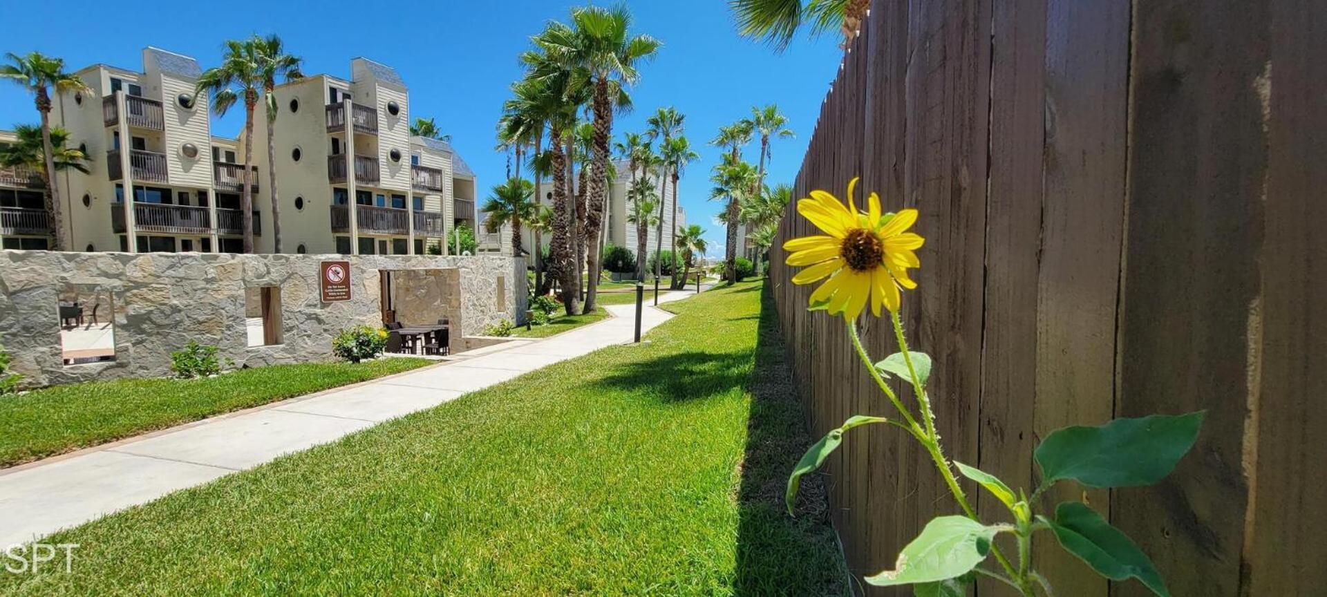 Bahia Mar #426 Villa South Padre Island Buitenkant foto